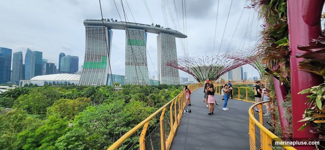 A view from a skywalk at Gardens by the Bay, Singapore, with the iconic Marina Bay Sands hotel in the background. Several people are walking on the skywalk, which is lined with yellow railings and lush greenery. The skywalk offers panoramic views of the city skyline and the Supertree Grove.