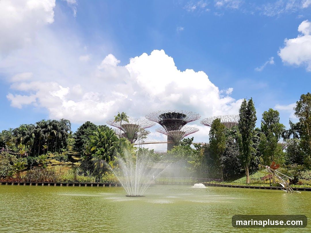 A scenic view of Gardens by the Bay in Singapore, featuring the iconic Supertree Grove structures in the background, a large body of water with a fountain in the foreground, lush greenery, and a bright blue sky with scattered clouds. A metal sculpture resembling an insect is visible on the right side of the water.
