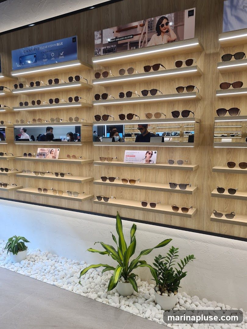 A well-lit interior of an eyewear store featuring numerous shelves displaying sunglasses and eyeglasses. The shelves are organized with various styles and brands of eyewear. In the foreground, decorative white pebbles and potted plants add to the ambiance. A large banner at the top showcases a sunglasses collection with a model wearing sunglasses.