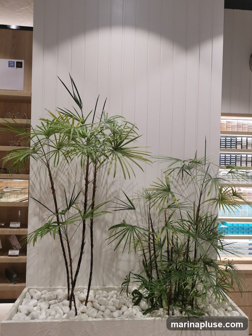 A display of indoor plants in a planter filled with white stones, set against a white paneled wall. To the left, shelves display various items, including what appear to be glasses. To the right, shelves are stocked with rows of colorful boxes, possibly cigarettes or other small packaged goods.