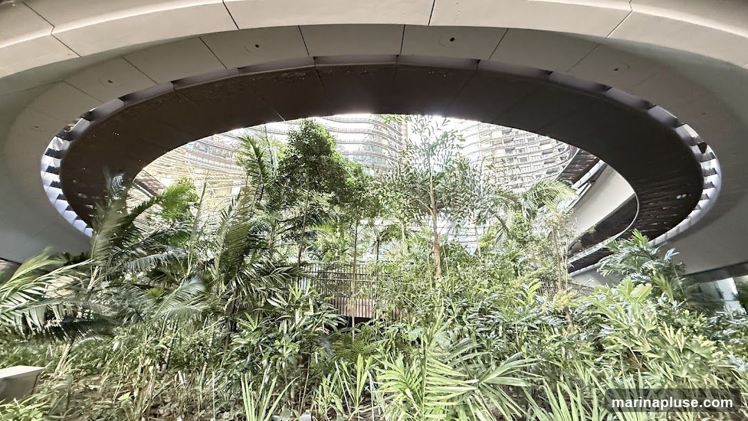 A lush indoor garden filled with various tropical plants, including palm trees and dense foliage. Above the garden, a modern architectural structure with curved lines and metallic accents creates a striking contrast. In the background, a contemporary building with a wavy facade is visible through the opening in the structure.