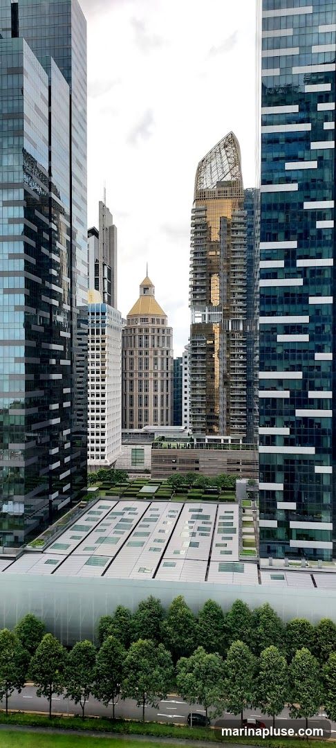 A view of a modern cityscape featuring several tall skyscrapers with glass facades. In the foreground, a row of trees lines a street with a few cars. Below the skyscrapers, there is a large, flat rooftop area with a grid-like pattern of skylights and some greenery. The sky is overcast.