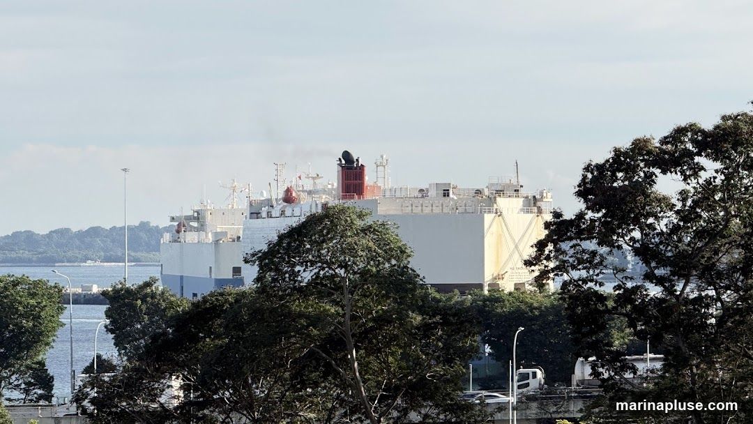 A large white cargo ship with a red and black smokestack is visible in the distance, partially obscured by trees. The ship is in a body of water, with a hazy coastline in the background. Smoke is emanating from the smokestack.