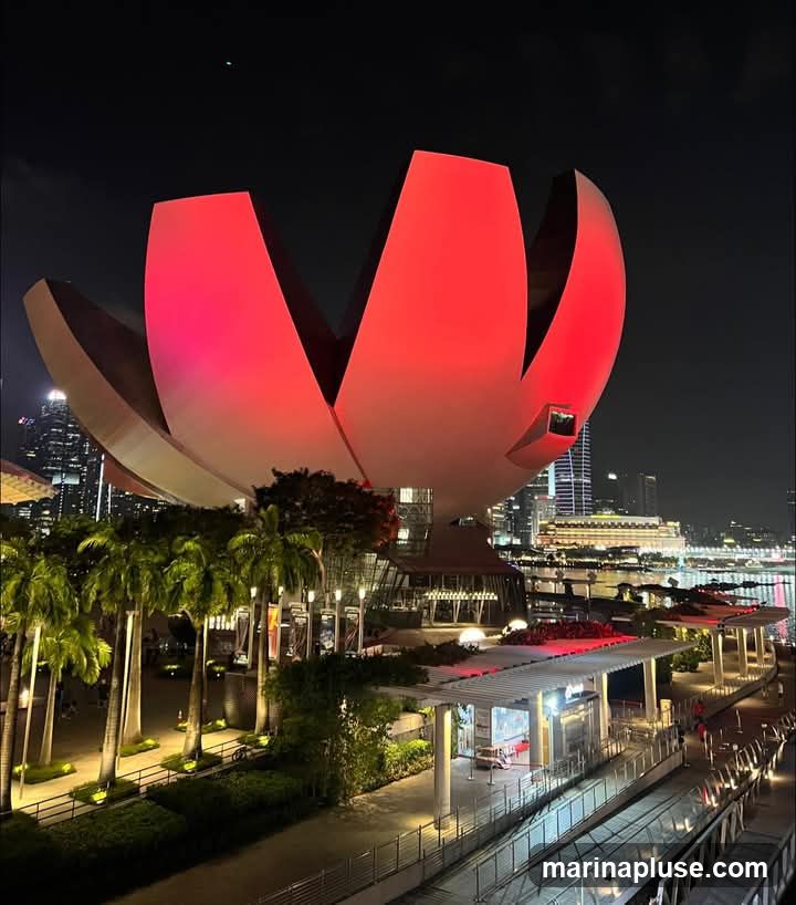 The ArtScience Museum in Singapore is illuminated with red light at night. The building's distinctive lotus-like structure is prominent against the dark sky. In the foreground, palm trees and landscaped gardens line a walkway. The cityscape and waterfront are visible in the background.