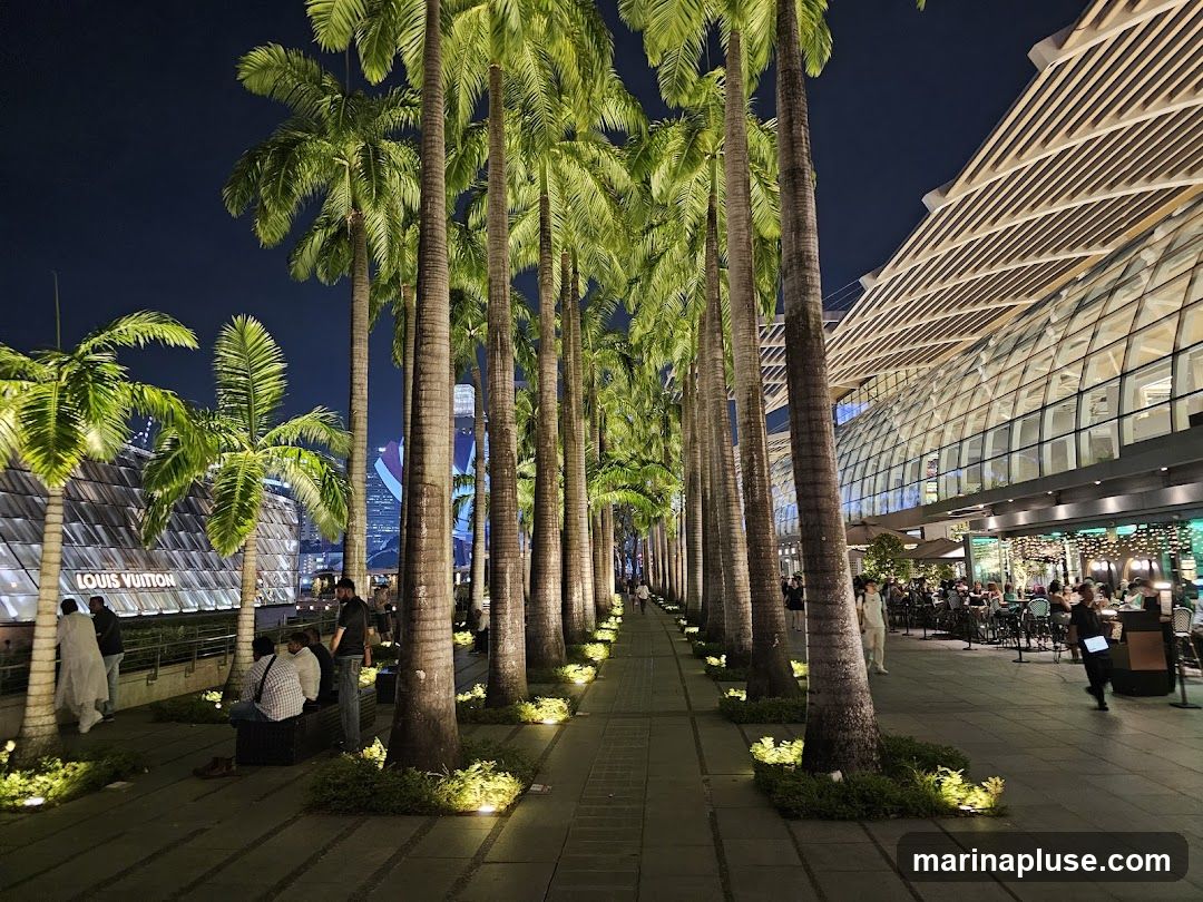 A walkway lined with tall palm trees at night. On the left, a building with "LOUIS VUITTON" signage is visible. On the right, a modern building with a glass facade and a distinctive wooden roof structure is illuminated. Several people are walking and sitting along the walkway, and outdoor seating areas with lights are visible in front of the building on the right.