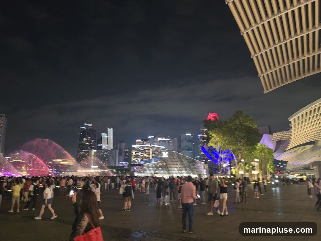 A large crowd gathers at night to watch a colorful fountain show with pink and purple water jets. In the background, a modern city skyline is illuminated, with several skyscrapers and buildings featuring bright lights. The foreground shows a paved area with many people standing and walking. To the right, part of a modern architectural structure with a slatted roof is visible.