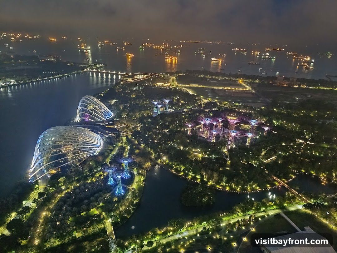 An aerial nighttime view of Gardens by the Bay in Singapore, showcasing the illuminated Supertree Grove and the distinctive domes of the Cloud Forest and Flower Dome. The surrounding bay is dotted with numerous ships, and a bridge connects to the mainland. The landscape is illuminated with a network of lights, highlighting the park's lush greenery and architectural features.