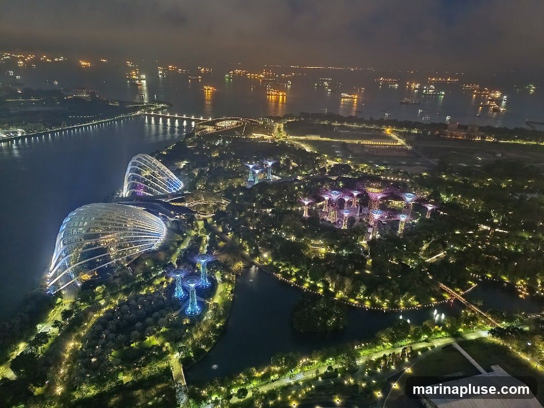An aerial nighttime view of Gardens by the Bay in Singapore, showcasing the illuminated Supertree Grove and the distinctive domes of the Cloud Forest and Flower Dome. The surrounding bay is dotted with numerous ships, and a bridge connects to the mainland. The landscape is illuminated with a network of lights, highlighting the park's lush greenery and architectural features.
