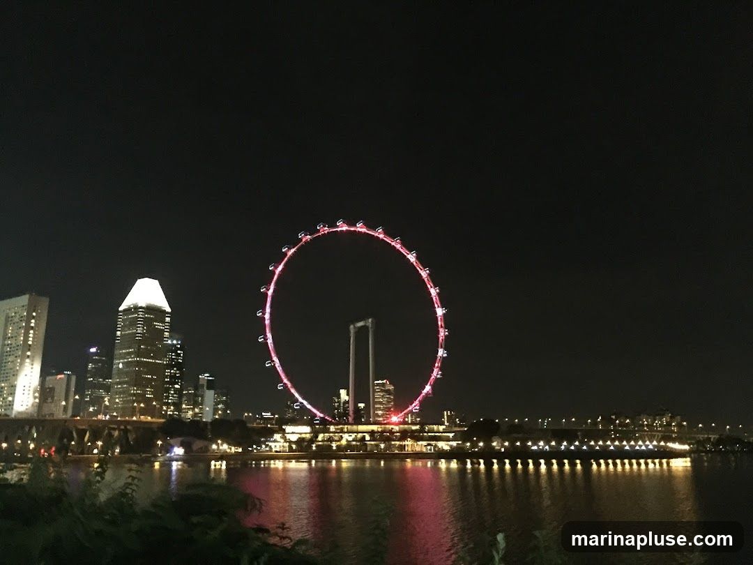 A nighttime view of the Singapore Flyer, a large Ferris wheel, illuminated with red lights. The city skyline with illuminated skyscrapers is visible in the background, reflected in the calm water in the foreground.