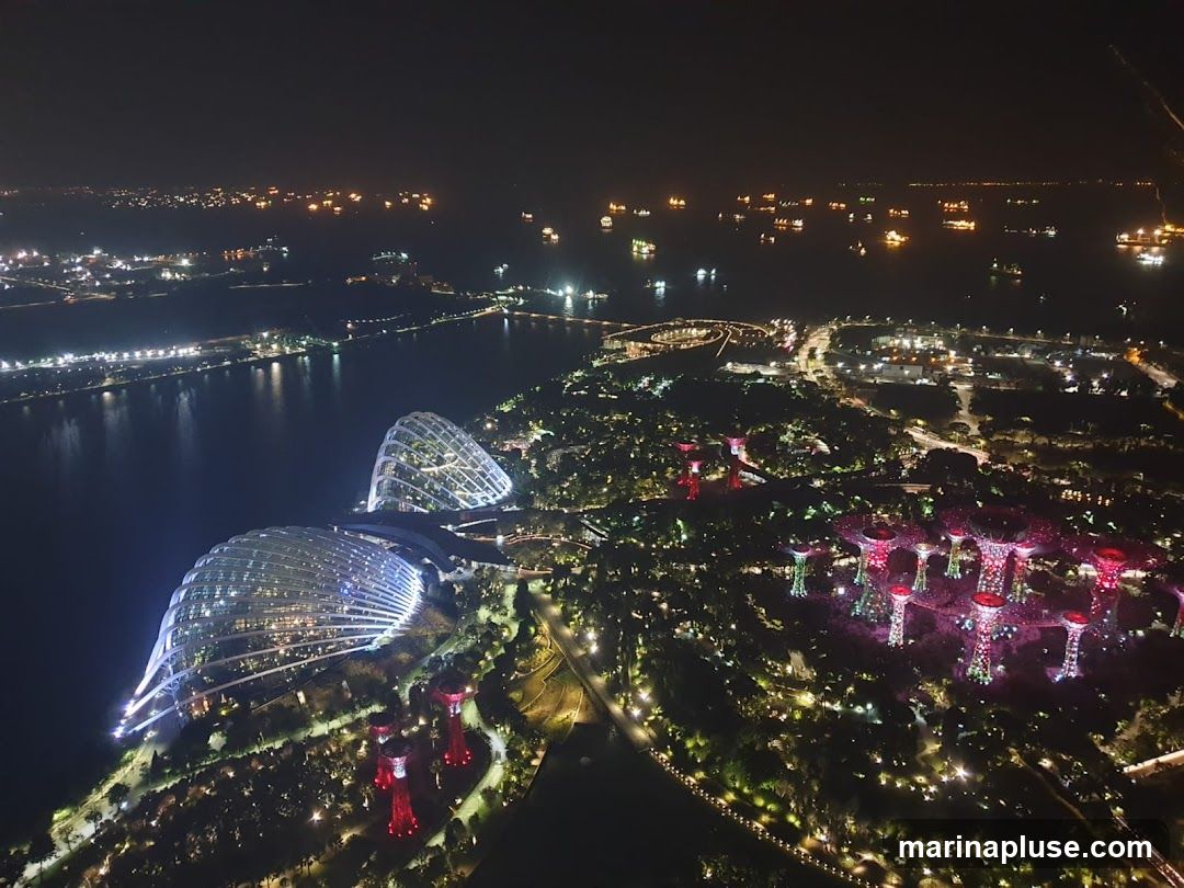 An aerial nighttime view of Gardens by the Bay in Singapore, showcasing the illuminated Supertree Grove and the Cloud Forest and Flower Dome conservatories. The surrounding bay is dotted with ships, and city lights are visible in the distance.