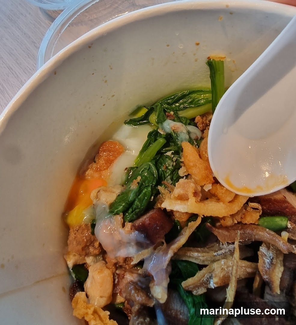 A close-up shot of a bowl of noodle soup. The soup contains noodles, leafy green vegetables, a soft-boiled egg with a runny yolk, pieces of meat, crispy fried shallots, and small dried fish. A white spoon is partially visible, scooping some of the soup.