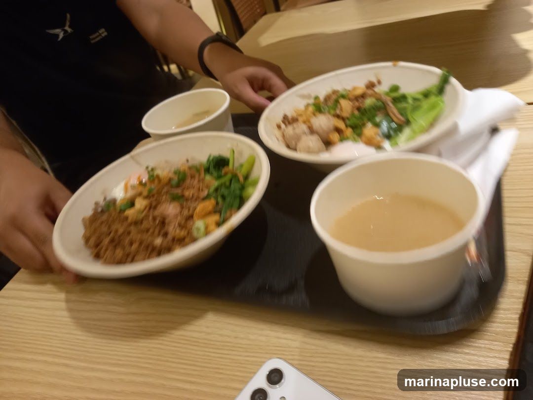A black tray holds two white bowls of food and a white cup of soup, all on a wooden table. One bowl contains rice with meat and vegetables, topped with an egg and fried shallots. The other bowl has noodles with meatballs, vegetables, and fried shallots. The cup contains a light-colored liquid, likely soup. A person's hands are visible, holding the bowls.