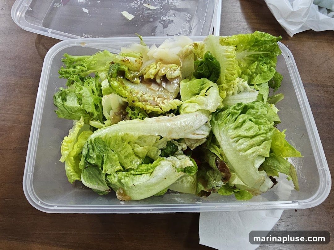A close-up shot of a salad in a clear plastic takeaway container. The salad consists primarily of romaine lettuce leaves, some of which appear slightly wilted. A light dressing has been drizzled over the greens. The container is open, with its lid placed behind it. A white napkin is visible beneath the container. The salad is presented on a wooden surface.