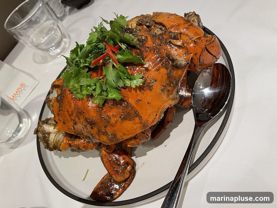 A whole crab dish served on a plate with a spoon. The crab is covered in a dark sauce and garnished with cilantro and red chili peppers. There are also glasses of water on the table. A napkin with a logo is visible in the background.