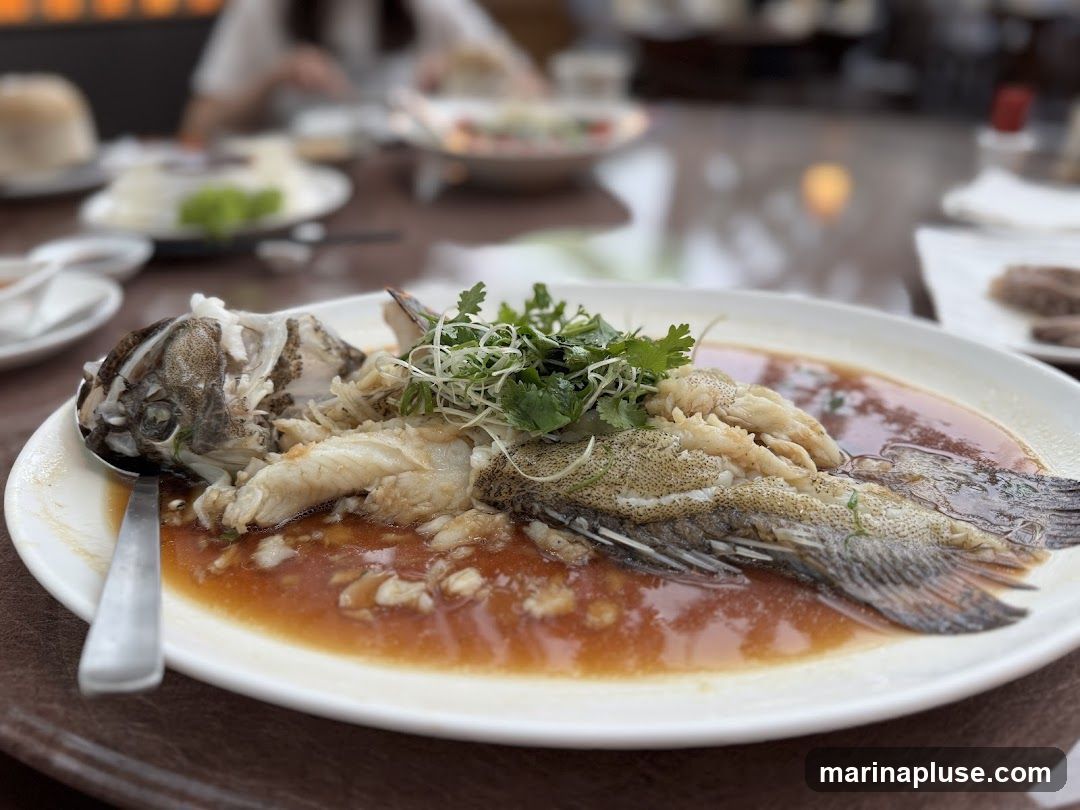 A whole steamed fish, garnished with scallions and cilantro, is served in a savory sauce on a white oval plate. The dish is placed on a table with other plates and blurred figures in the background, suggesting a restaurant setting.