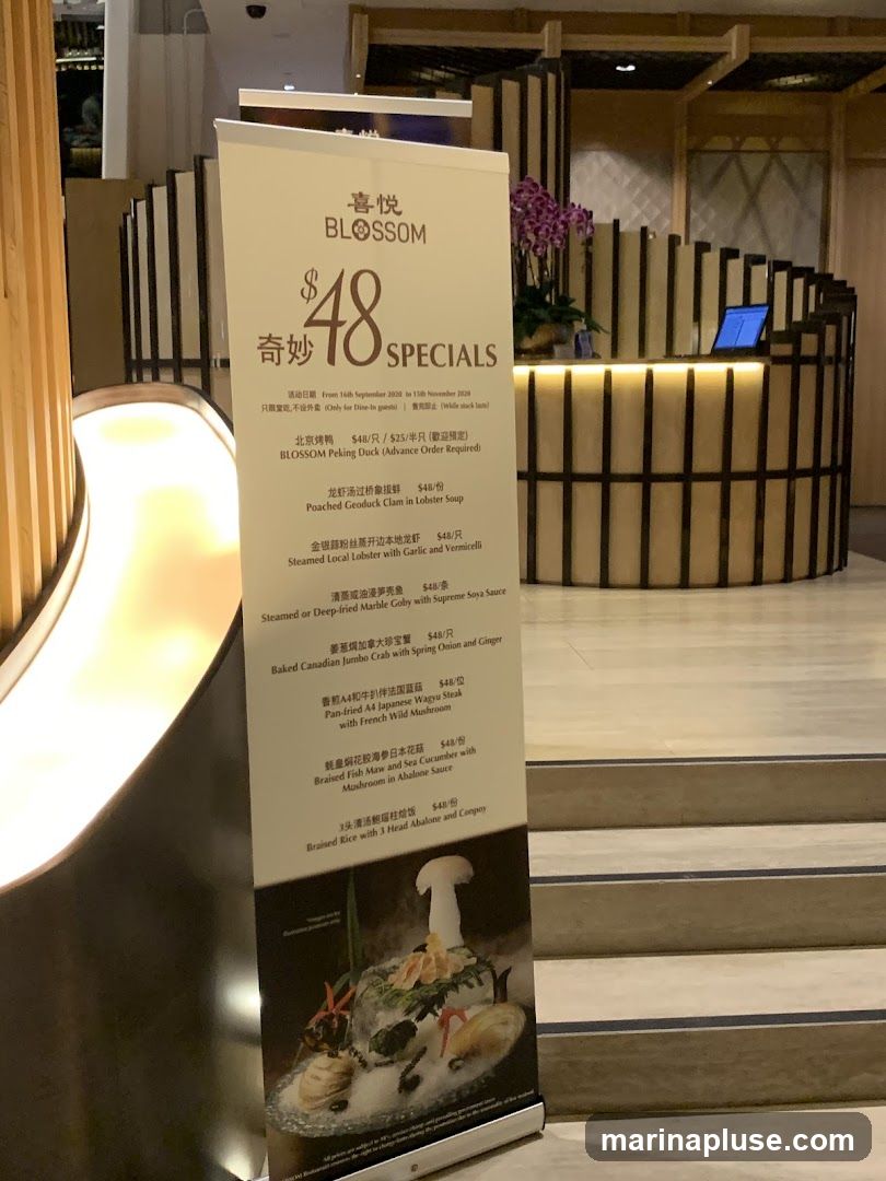 A promotional banner for Blossom restaurant displays a $48 specials offer. The banner features a selection of dishes including Peking Duck, Poached Geoduck Clam, Steamed Local Lobster, Marble Goby, Canadian Jumbo Crab, Japanese Wagyu Steak, Braised Fish Maw and Sea Cucumber, and Braised Rice with Abalone. The promotion is valid from September 16th to November 15th, 2020, and is for dine-in guests only. The background shows the interior of the restaurant with a reception desk and decorative wooden elements.