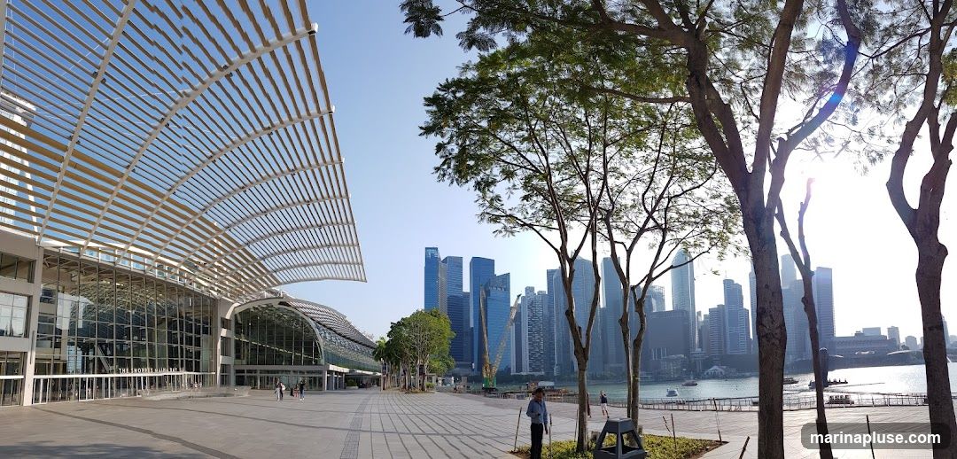 A wide-angle view of a modern building with a distinctive arched, slatted roof, featuring a glass facade. In the background, a dense city skyline with numerous skyscrapers rises against a clear blue sky. Trees with sparse foliage are in the foreground, framing the scene and casting shadows on the paved plaza. The waterfront is visible to the right, with boats on the water.