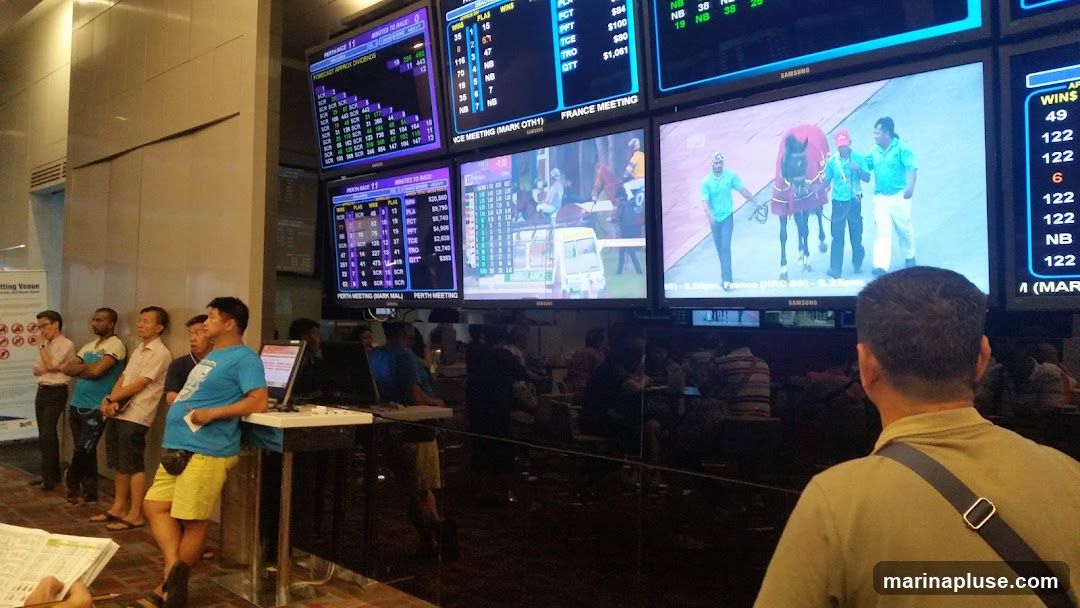 Multiple screens display horse racing information, including odds, race times, and results. People are gathered, watching the screens. One screen shows a horse being led by handlers.