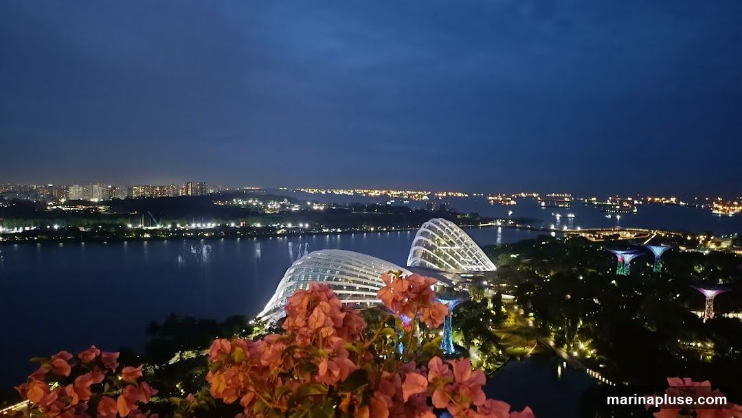 A panoramic night view of Gardens by the Bay in Singapore, with its iconic Supertree Grove and Cloud Forest and Flower Dome illuminated. The cityscape of Singapore is visible in the background across the water, along with numerous ships in the harbor. Pink flowers are in the foreground, framing the scene.