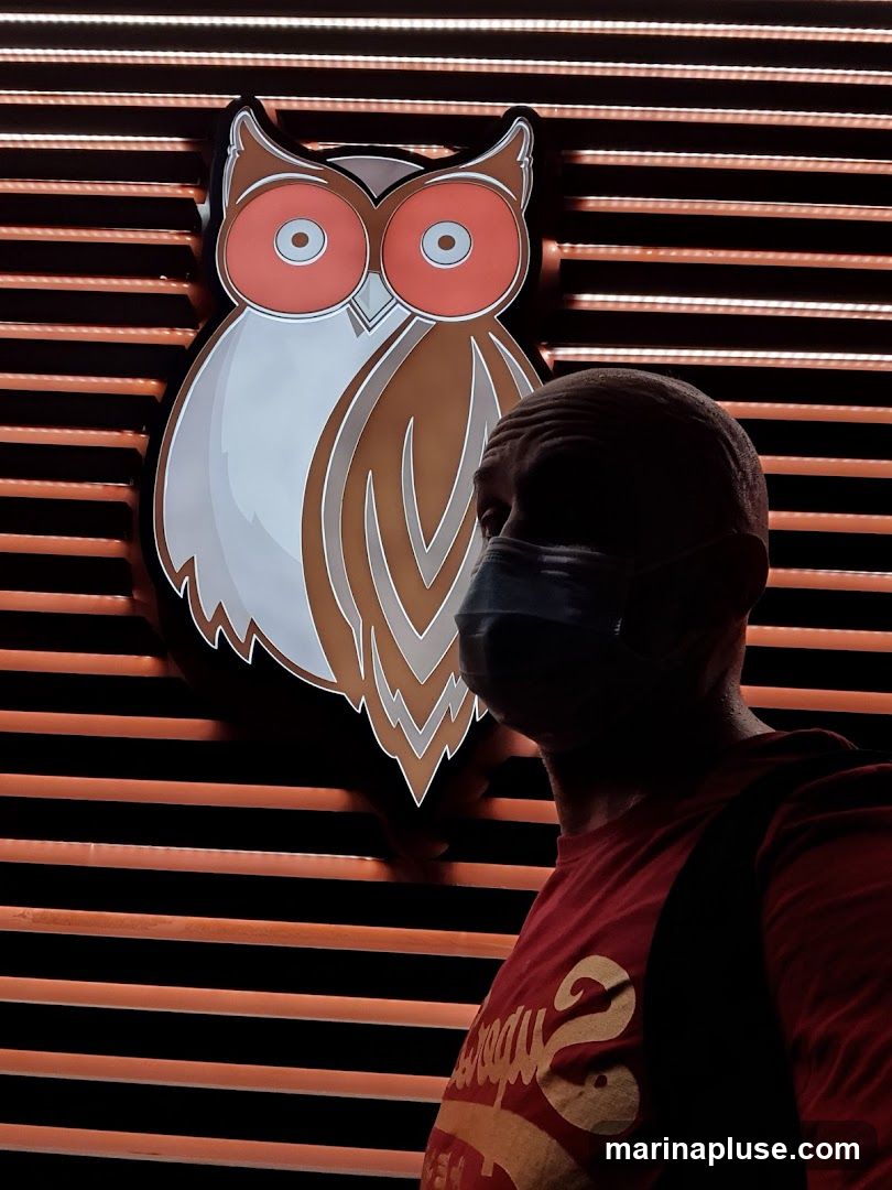 A person wearing a mask and a red t-shirt stands in front of a large, stylized owl logo. The logo is brown and white with large orange eyes. The background consists of horizontal orange lines with white lights.