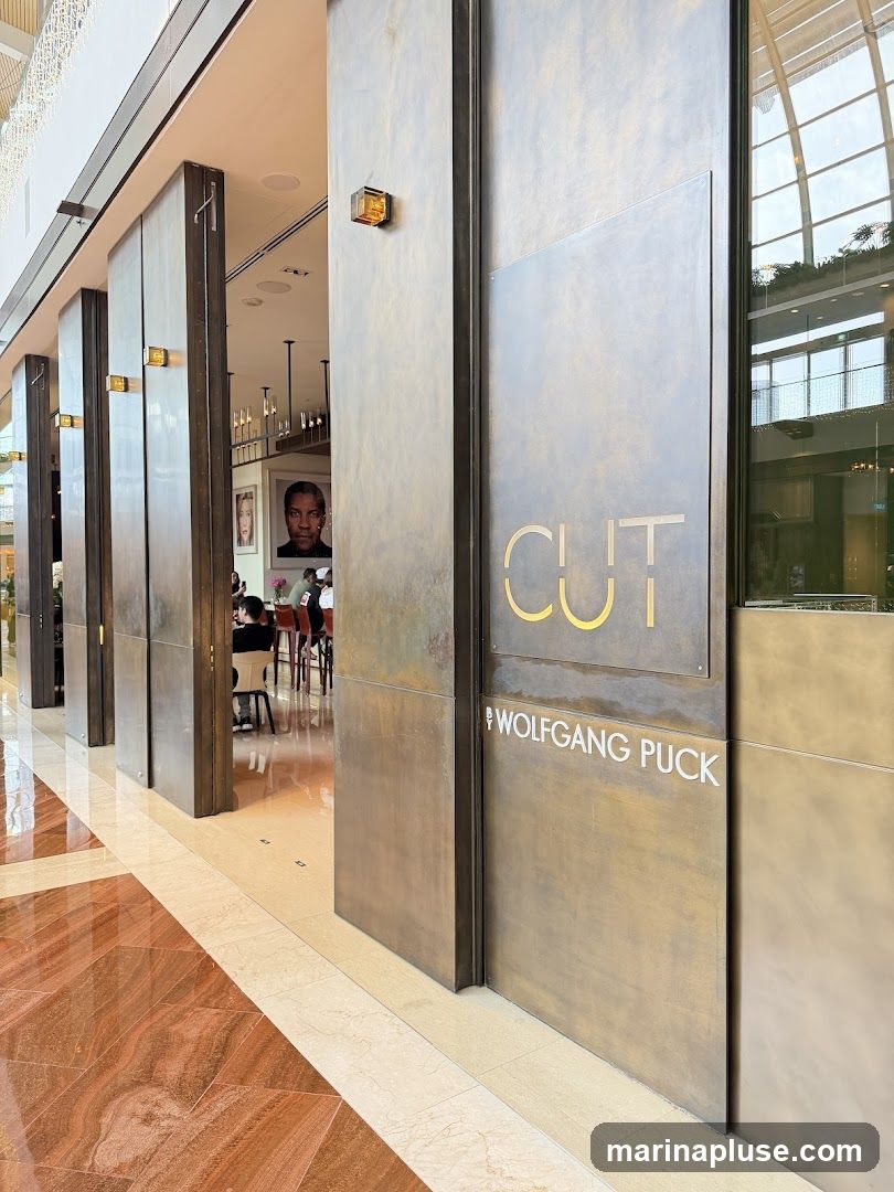 CUT by Wolfgang Puck