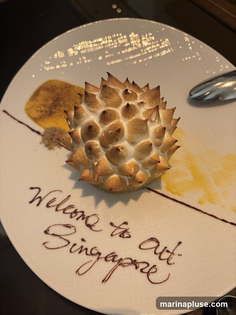 A dessert with meringue topping is presented on a white plate. Chocolate sauce is used to write "Welcome to Singapore" on the plate. There is also a smear of yellow sauce and some crumbs.