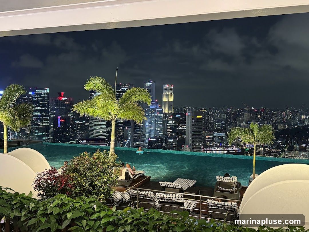 An infinity pool on a rooftop offers a stunning panoramic view of a city skyline at night. Palm trees and lush greenery surround the pool area, where lounge chairs are set up for relaxation. Several people are visible enjoying the pool and the cityscape. The city lights twinkle in the distance, creating a vibrant and dynamic atmosphere.