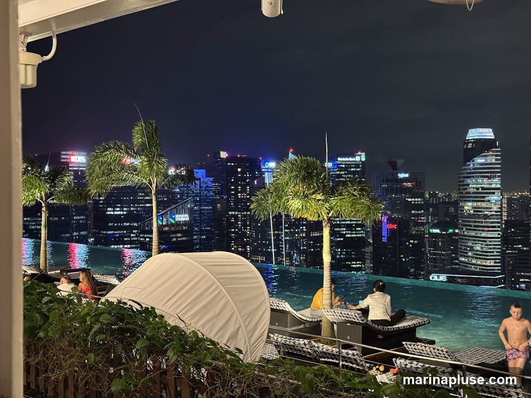 An infinity pool on a rooftop overlooks a city skyline at night. Several palm trees are scattered around the pool area. People are relaxing on lounge chairs by the pool. The city lights are bright and reflect in the water.