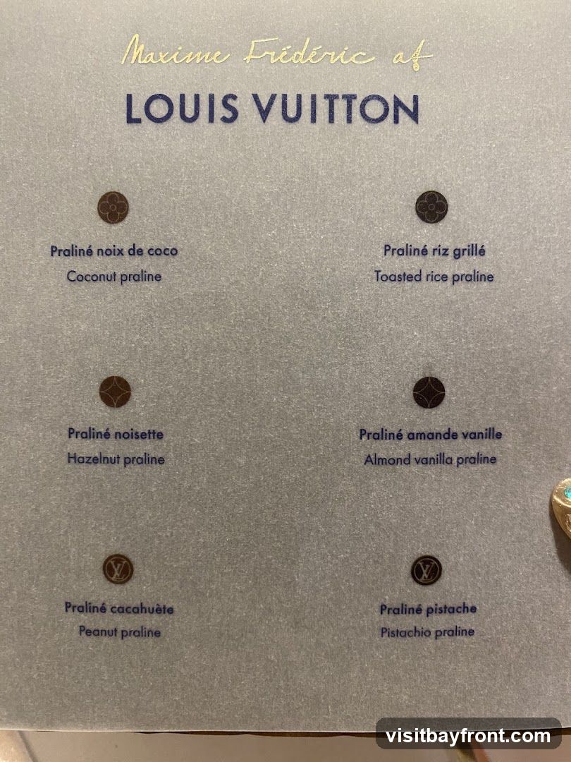 Maxime Frédéric at LOUIS VUITTON