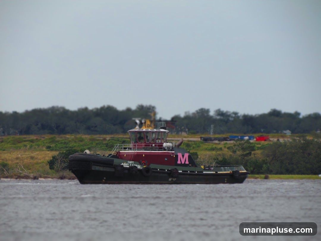 A tugboat named CAPT JIMMY T MORAN is on the water with a wooded shoreline in the background. The tugboat is dark green and maroon with a large pink 'M' on its side. The sky is overcast.