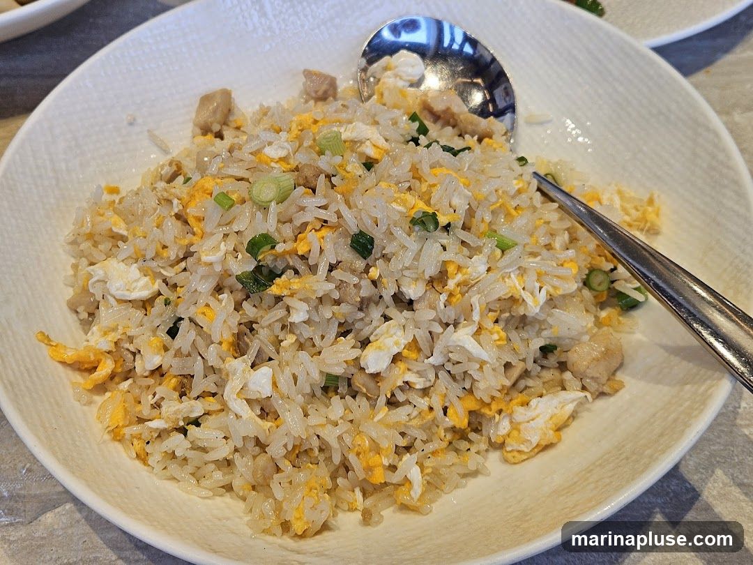 A close-up shot of chicken fried rice served in a white bowl. The rice is mixed with scrambled egg, pieces of chicken, and chopped green onions. A spoon rests on the side of the bowl.