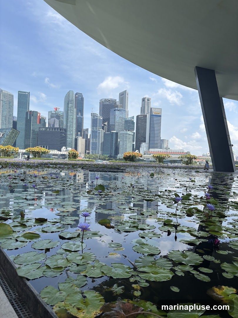 A serene pond filled with water lilies and their pads reflects a modern city skyline under a bright, cloudy sky. The foreground features the textured surface of the pond and the lush green of the lily pads, with delicate purple water lilies blooming. In the background, a dense cluster of skyscrapers rises, their glass and steel structures creating a sharp contrast with the natural elements in the foreground. The scene is framed by the underside of a large, modern architectural overhang, casting a shadow and adding depth to the composition.