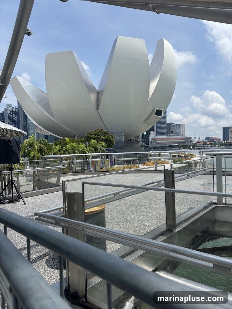 A wide shot of the ArtScience Museum in Singapore, with its distinctive lotus-shaped roof. The museum is surrounded by water and palm trees, with the city skyline in the background. The image is taken from a walkway with metal railings in the foreground.
