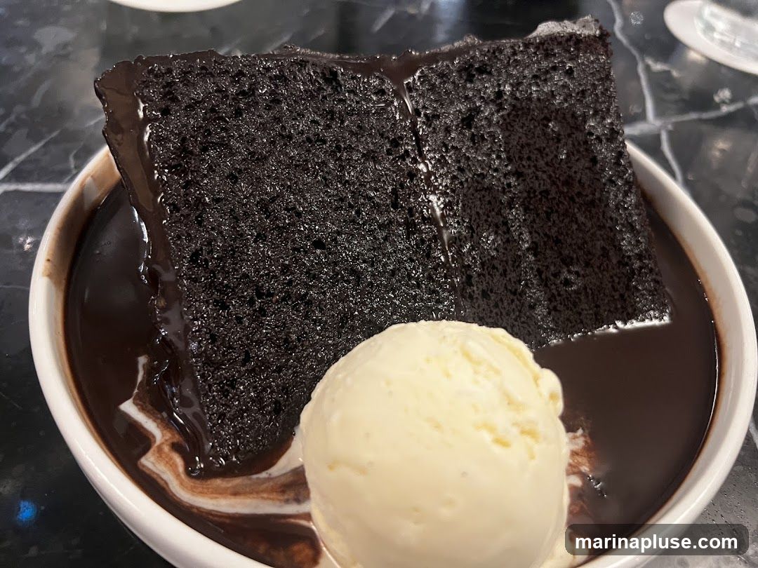 A close-up shot of a decadent chocolate cake served with a scoop of vanilla ice cream in a white bowl. The cake is dark and moist, with a rich chocolate sauce pooling around it. Swirls of cream are visible in the sauce. The background is a dark, marbled surface.