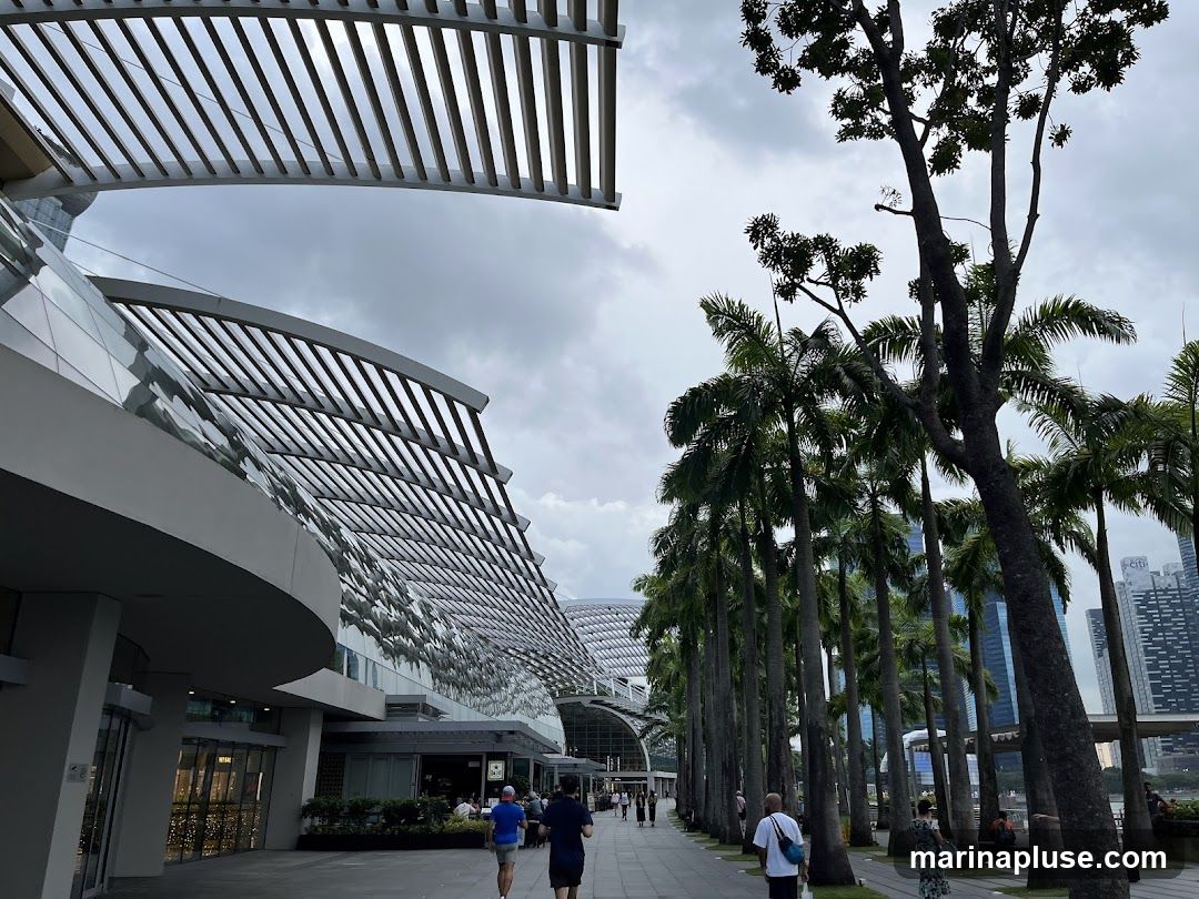 A wide shot of a modern building with a distinctive slatted roof structure, adjacent to a row of tall palm trees. People are walking along a paved walkway in front of the building. In the background, city skyscrapers are visible under a cloudy sky.