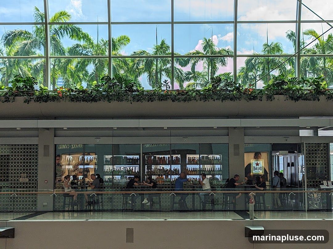 An interior view of a bar or cafe with a long counter where patrons are seated. Behind the counter, shelves are stocked with numerous bottles. A large window behind the bar offers a view of lush palm trees and a blue sky with clouds. A framed advertisement featuring a star and the text "Dallas Cafe & Bar" is visible on the wall.