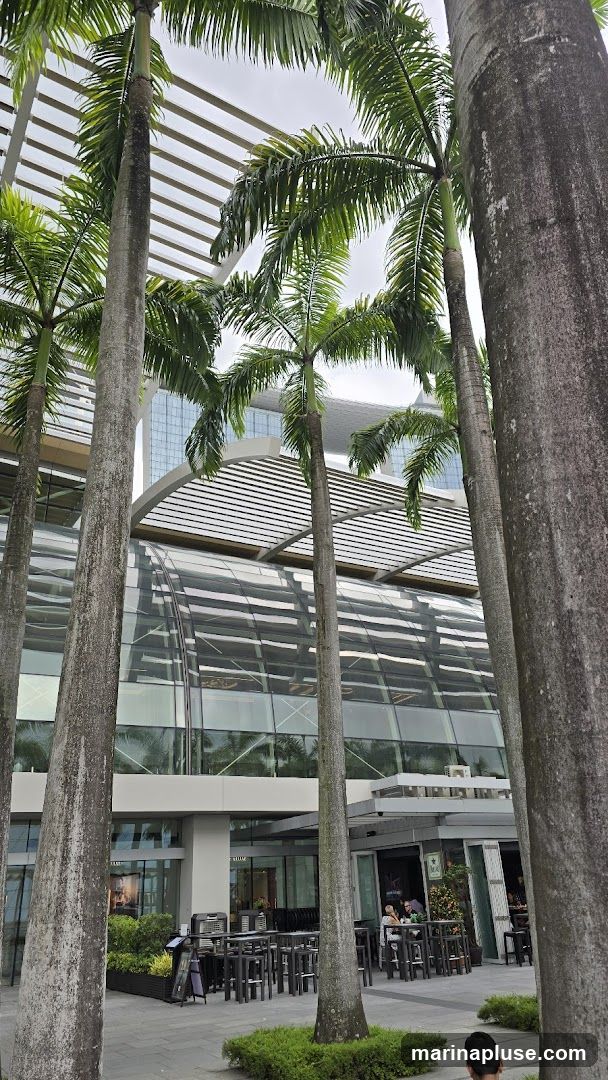 An outdoor seating area with tables and chairs is set up in front of a modern building with a glass facade. Tall palm trees with lush green fronds are in the foreground, partially obscuring the view of the building. The building features a distinctive curved glass roof and a white, slatted overhang. Several people are seated at the tables, suggesting a restaurant or cafe.