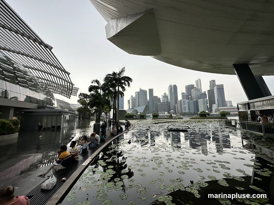 A wide shot of a pond filled with water lilies, reflecting the modern city skyline in the background. People are seen sitting along the edge of the pond, enjoying the view. The architecture of the surrounding buildings is contemporary, with sleek lines and glass facades. The sky is overcast, creating a soft, diffused light.