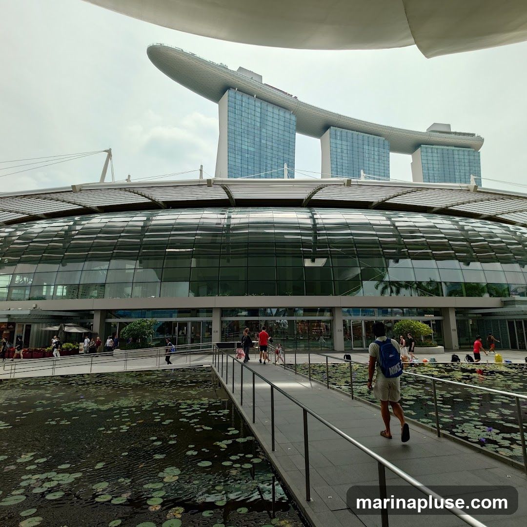 A wide shot of the Marina Bay Sands complex in Singapore. The iconic three towers with the ship-like structure on top are visible in the background. In the foreground, a large, domed building with a glass facade is prominent. A walkway extends over a pond filled with lily pads, leading towards the entrance of the domed building. Several people are walking on the walkway and around the entrance area. The sky is overcast.