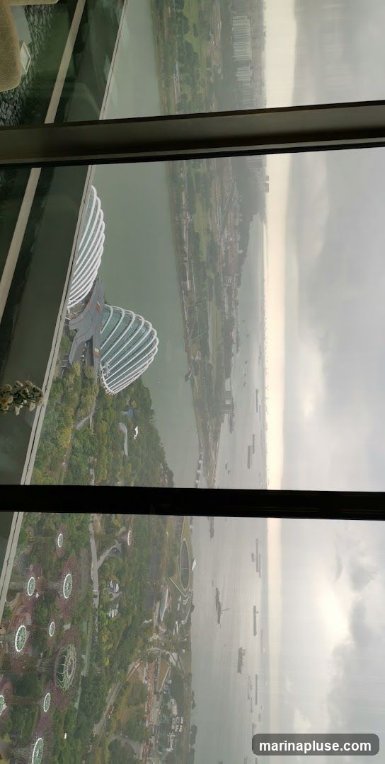 An aerial view captures the iconic Supertree Grove and Cloud Forest domes of Gardens by the Bay, Singapore, alongside the waters of Marina Bay dotted with numerous ships. The cityscape and a hazy sky form the backdrop. The perspective is from a high vantage point, looking out through a window.