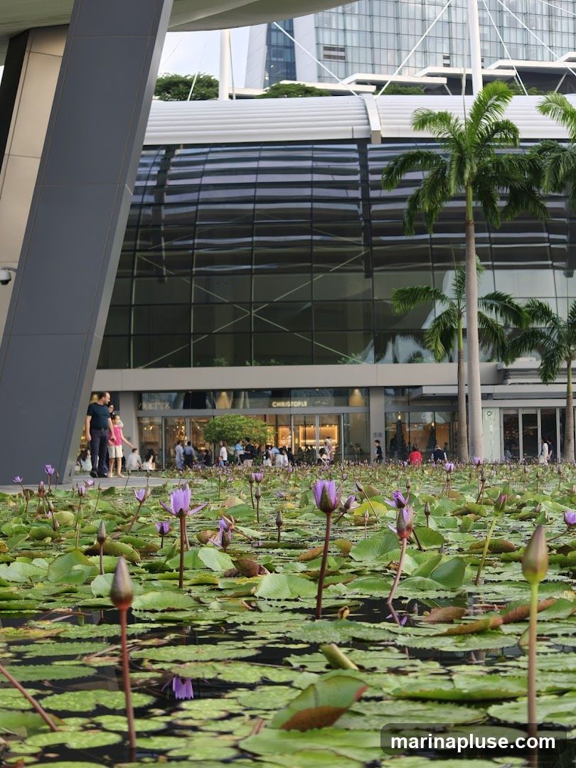 A serene pond filled with blooming water lilies and lush green lily pads is in the foreground. Behind the pond, a modern building with a glass facade and a curved roof is visible. Palm trees stand tall in front of the building. People are seen walking in front of shops with visible signage.