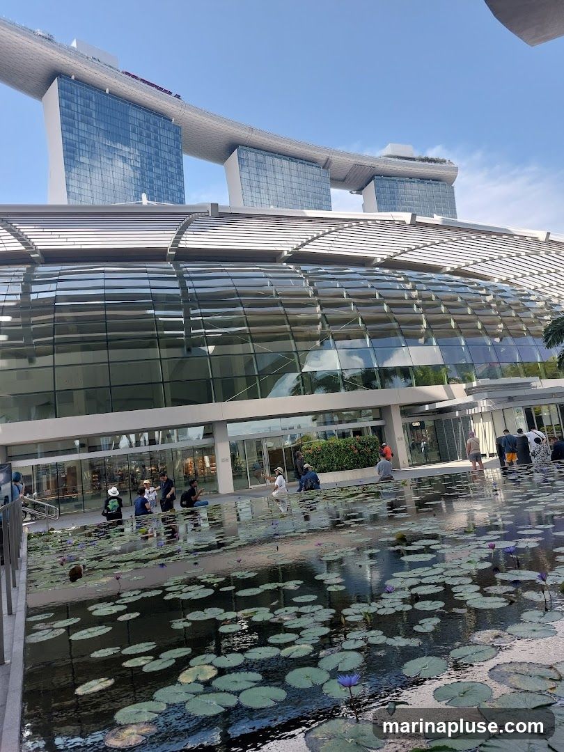 A wide shot of the Marina Bay Sands complex in Singapore, featuring the iconic three towers connected by a sky-high platform. In the foreground, a large pool filled with lily pads and purple flowers reflects the modern architecture. Several people are visible near the entrance of the building, which has a glass facade and a distinctive curved roof structure. The sky is clear and blue.