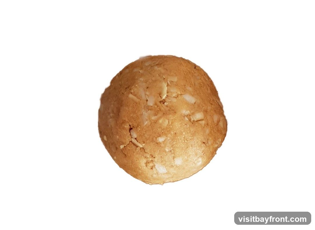 A single, round, light brown cookie with visible chunks of white ingredients, possibly nuts or dried fruit, is centered against a white background.