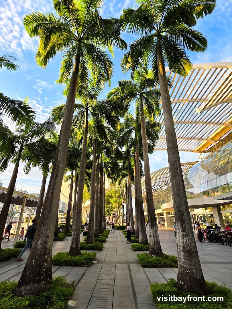 A pathway lined with tall palm trees leads towards a modern building with a glass facade. People are seen walking and sitting at outdoor tables. The sky is blue with scattered clouds.