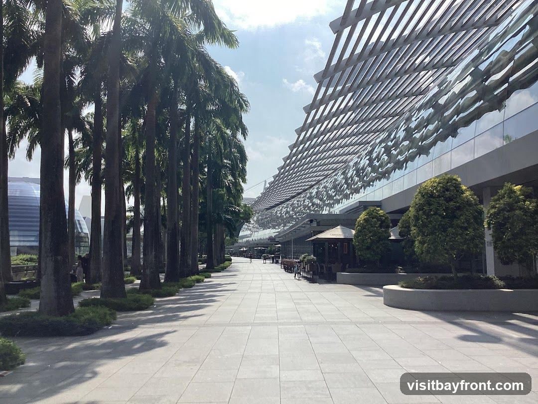 A wide, paved walkway lined with tall palm trees on the left and a modern building with a distinctive slatted roof and glass facade on the right. Several outdoor seating areas with umbrellas are visible in front of the building. The sky is bright and sunny with some clouds.