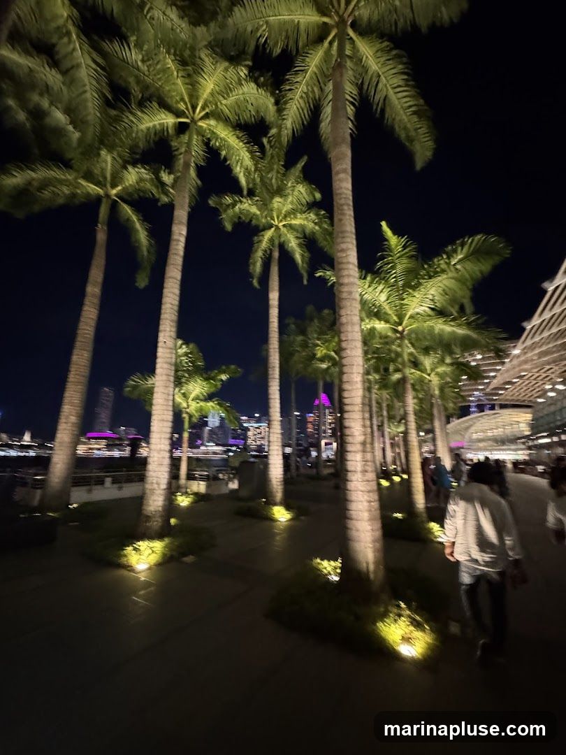 A nighttime scene featuring a walkway lined with tall palm trees. The trees are illuminated by ground lights, casting a warm glow. In the background, a city skyline is visible with illuminated buildings and lights reflecting on the water. Several people are walking along the path. The architecture of a modern building is visible on the right side of the image.