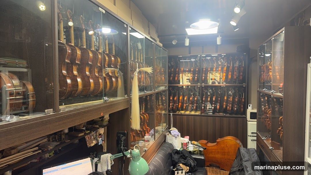 The interior of a shop filled with violins and other string instruments displayed in glass cases. There are many violins hanging on the walls and displayed on shelves. A cello is visible in the foreground. The shop appears to be well-stocked and organized.
