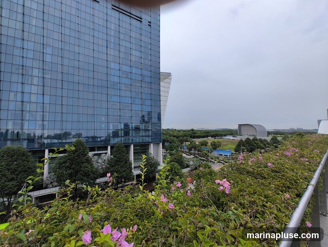 A view of a modern glass-facade office building with lush greenery and pink flowers in the foreground. In the distance, other buildings and a landscape are visible under an overcast sky.