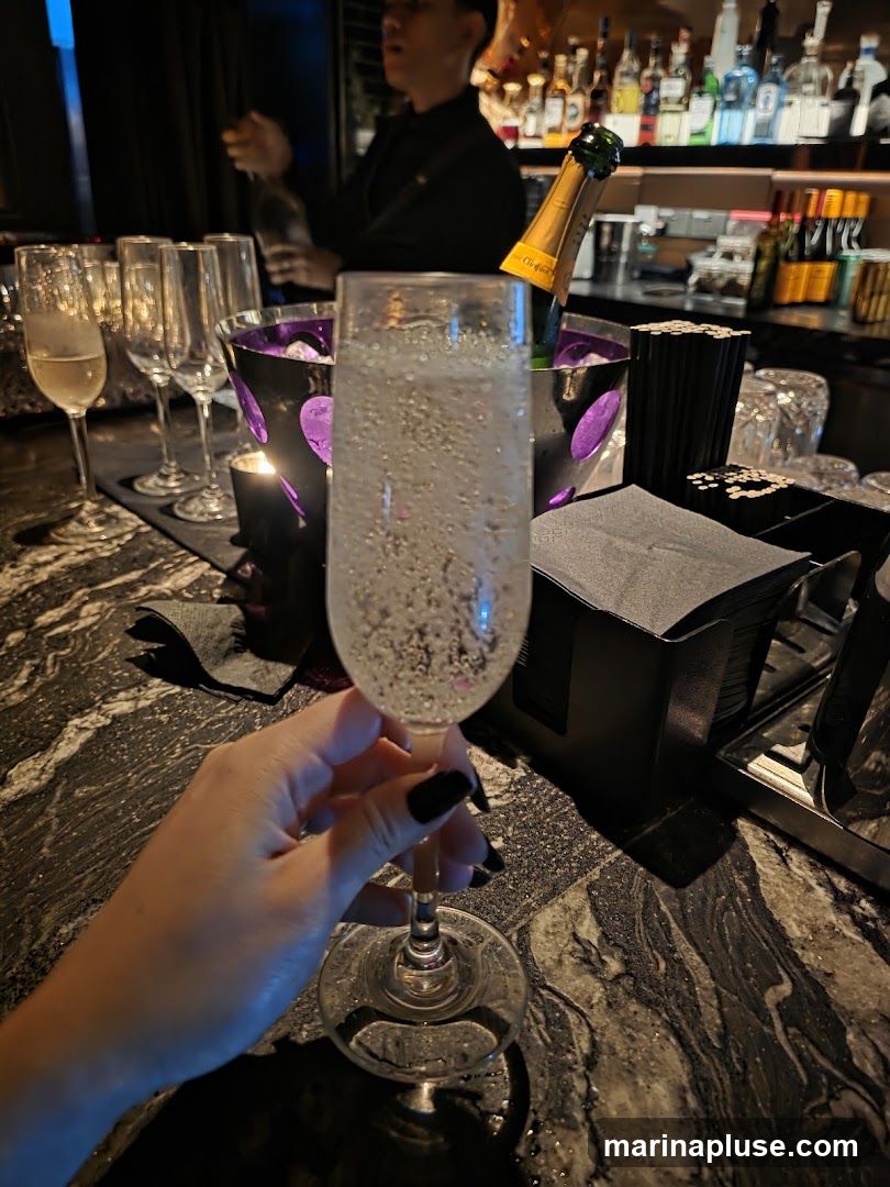 A hand with black nail polish holds a flute filled with a bubbly beverage. In the background, a bar is stocked with bottles of alcohol, and a bartender can be seen. A bottle of champagne is chilling in an ice bucket.
