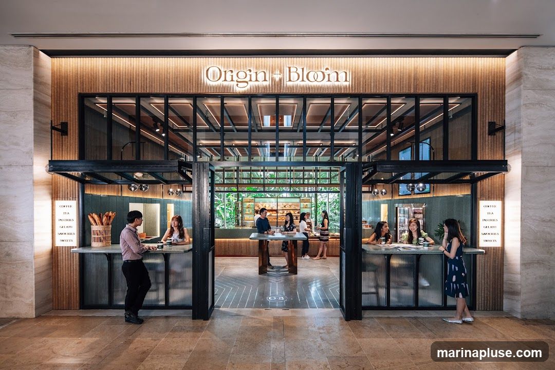 Origin + Bloom